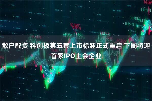 散户配资 科创板第五套上市标准正式重启 下周将迎首家IPO上会企业