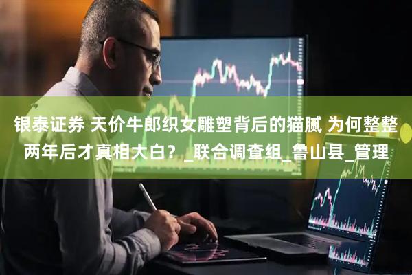 银泰证券 天价牛郎织女雕塑背后的猫腻 为何整整两年后才真相大白？_联合调查组_鲁山县_管理