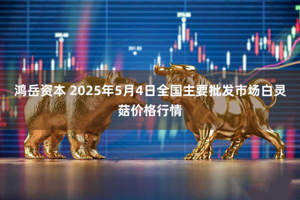 鸿岳资本 2025年5月4日全国主要批发市场白灵菇价格行情