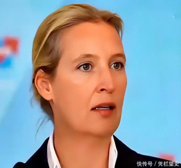 乐配网 魏德尔强烈抨击默茨！默茨总理想打仗，就应该加入乌克兰军队